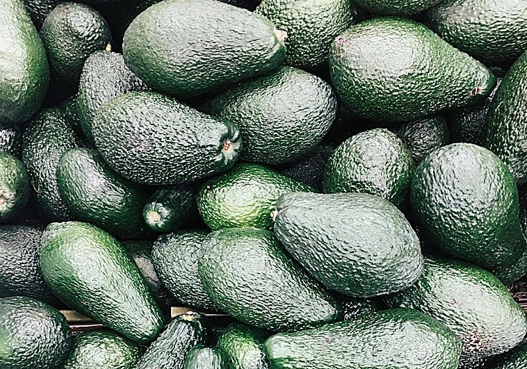 Grave alerta alimentaria: Francia advierte de la presencia de plomo en aguacates españoles