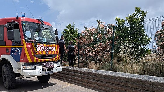 Muere un hombre en el incendio de unos pastos en Almendralejo