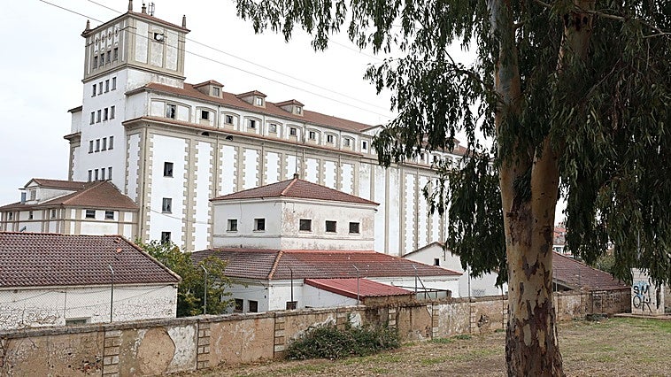 Adenex reclama a la Junta un nuevo expediente de Bien de Interés Cultural para proteger el silo de Mérida