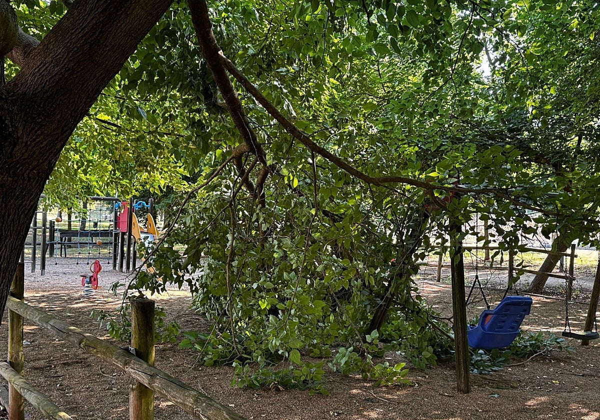 Storm Causes Damage and Heavy Rainfall in Mérida