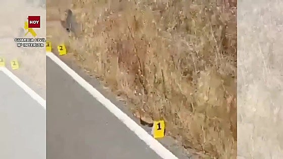 Detenido un conductor de 76 años tras atropellar a un ciclista en Talayuela y darse a la fuga