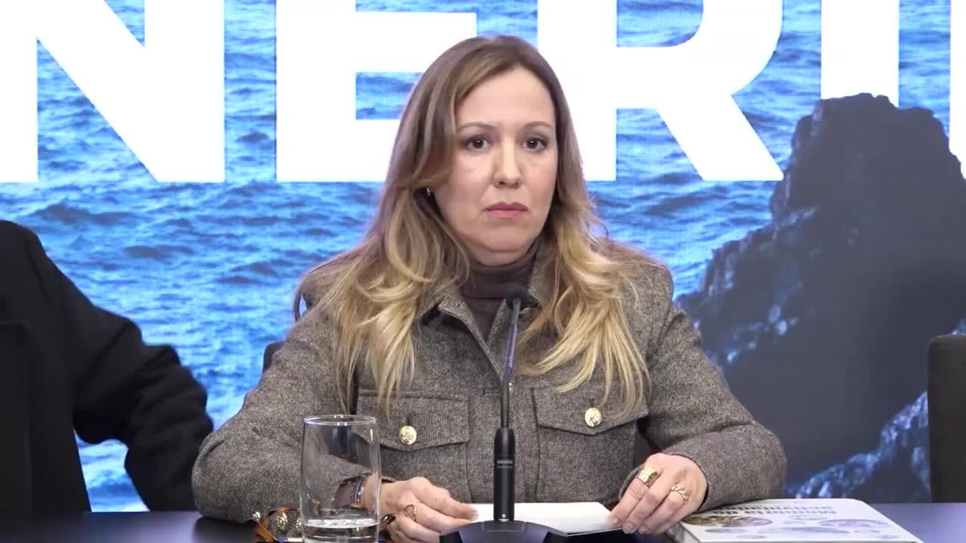 Dávila dice que el nuevo modelo de financiación "no es el mejor"