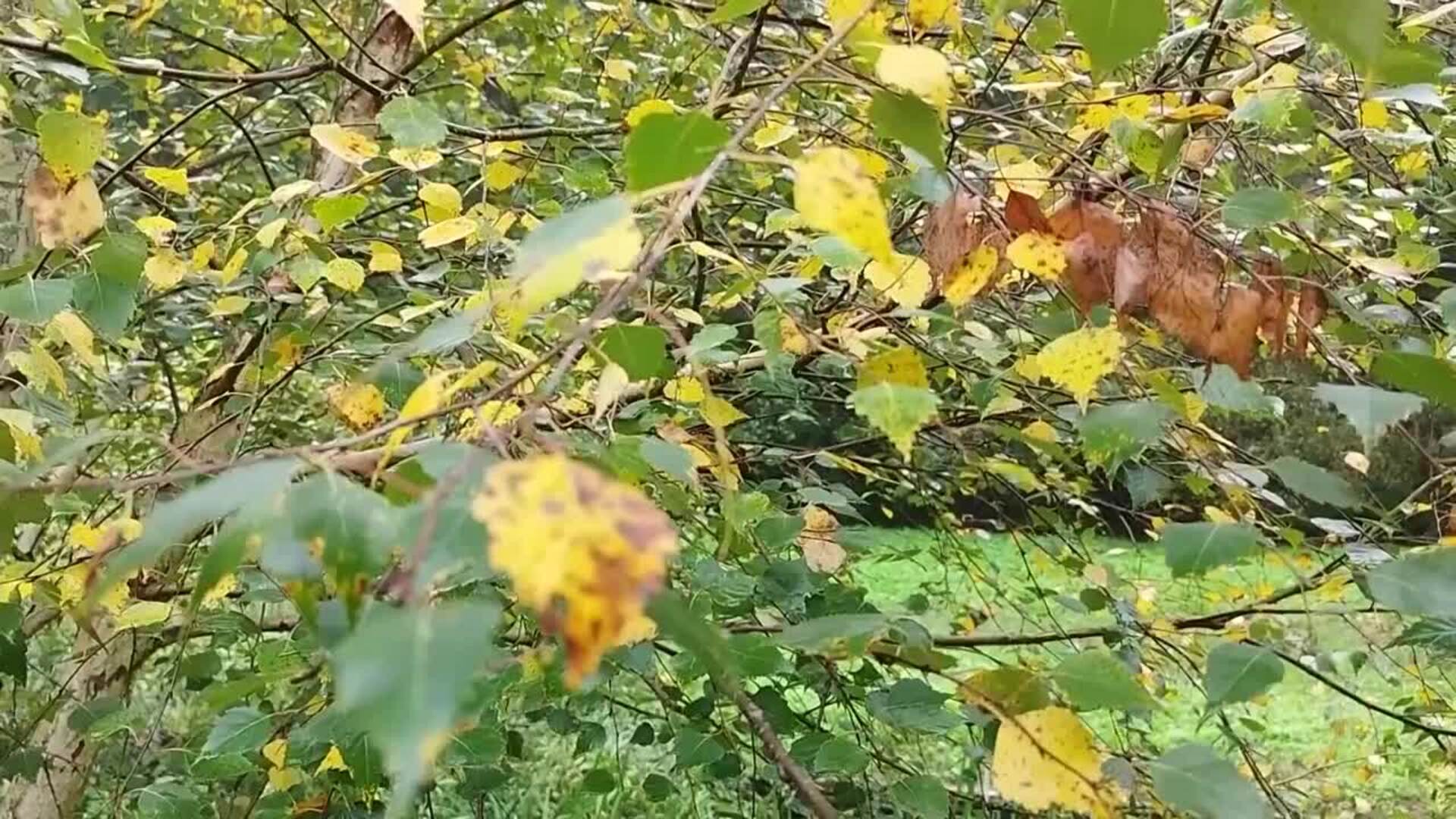 2025 fue el tercer año más cálido jamás registrado, según Copernicus