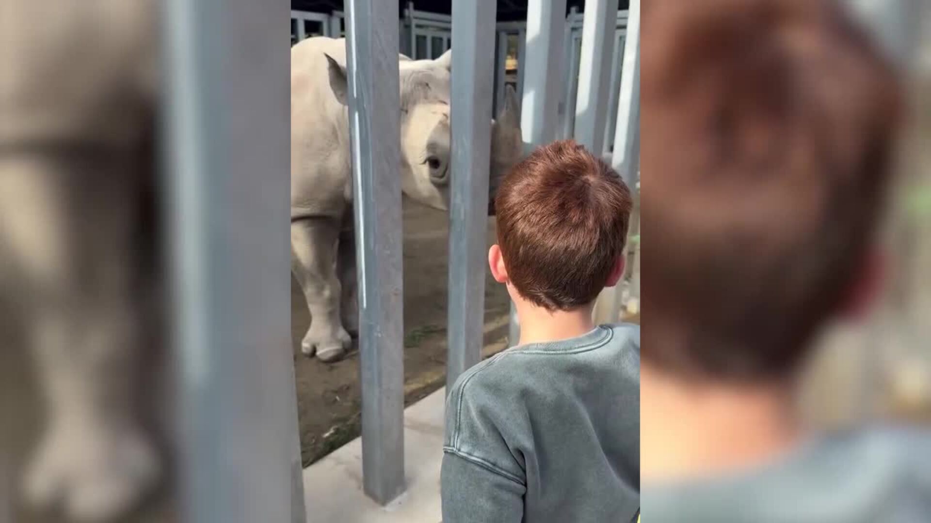 Meghan Markle muestra su faceta más familiar con la familia al completo en el zoo