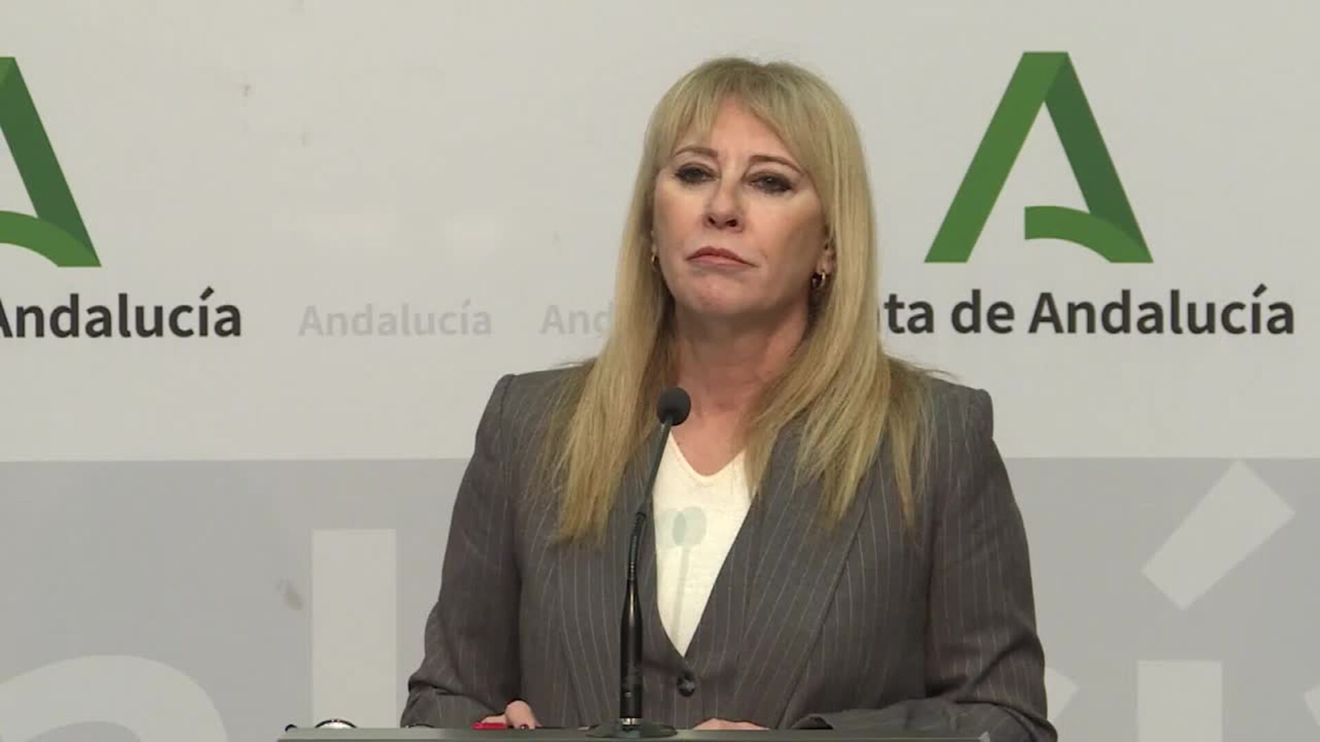 Andalucía critica "falta de información" desde el Gobierno para reabrir la línea con Madrid