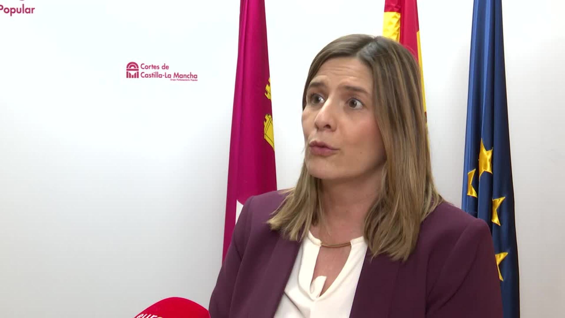 PP enmienda el Estatuto de Autonomía de C-LM para que no aumente el número de diputados