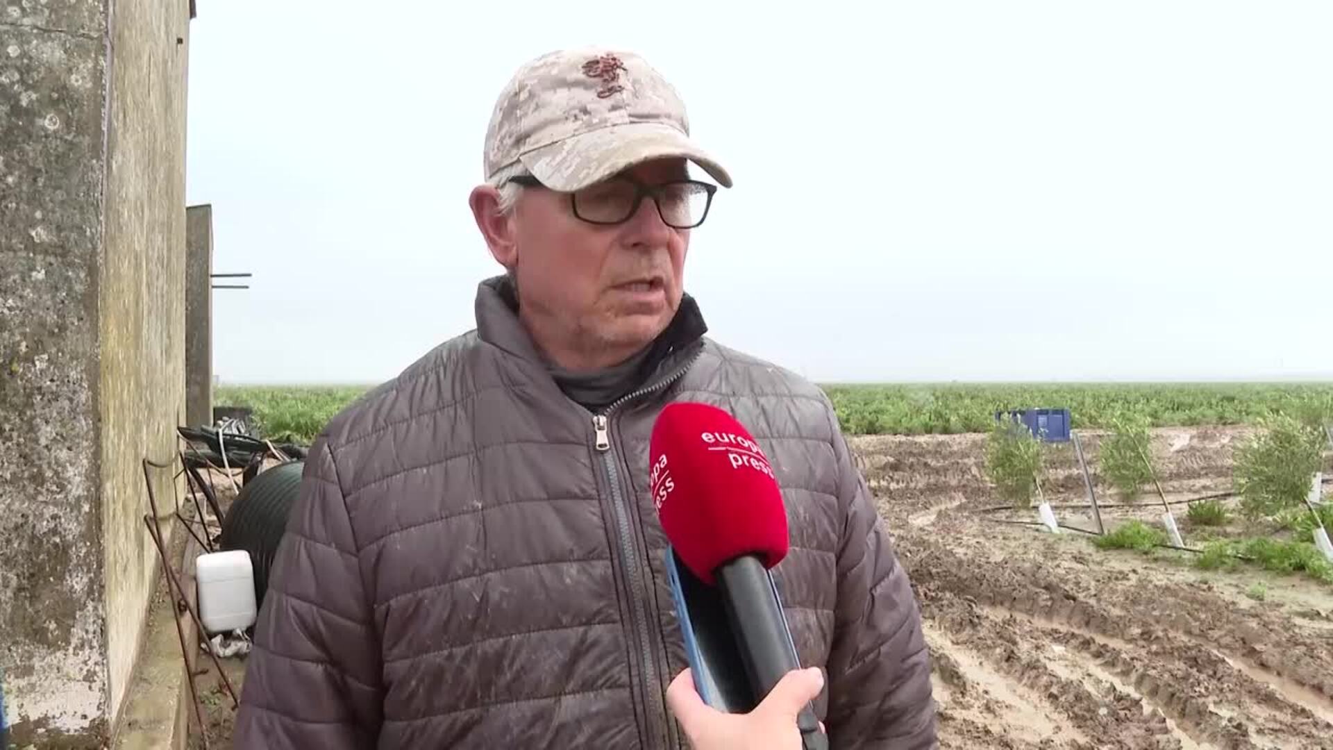 Agricultores andaluces trabajan entre el lodo para salvar sus cultivos tras el temporal