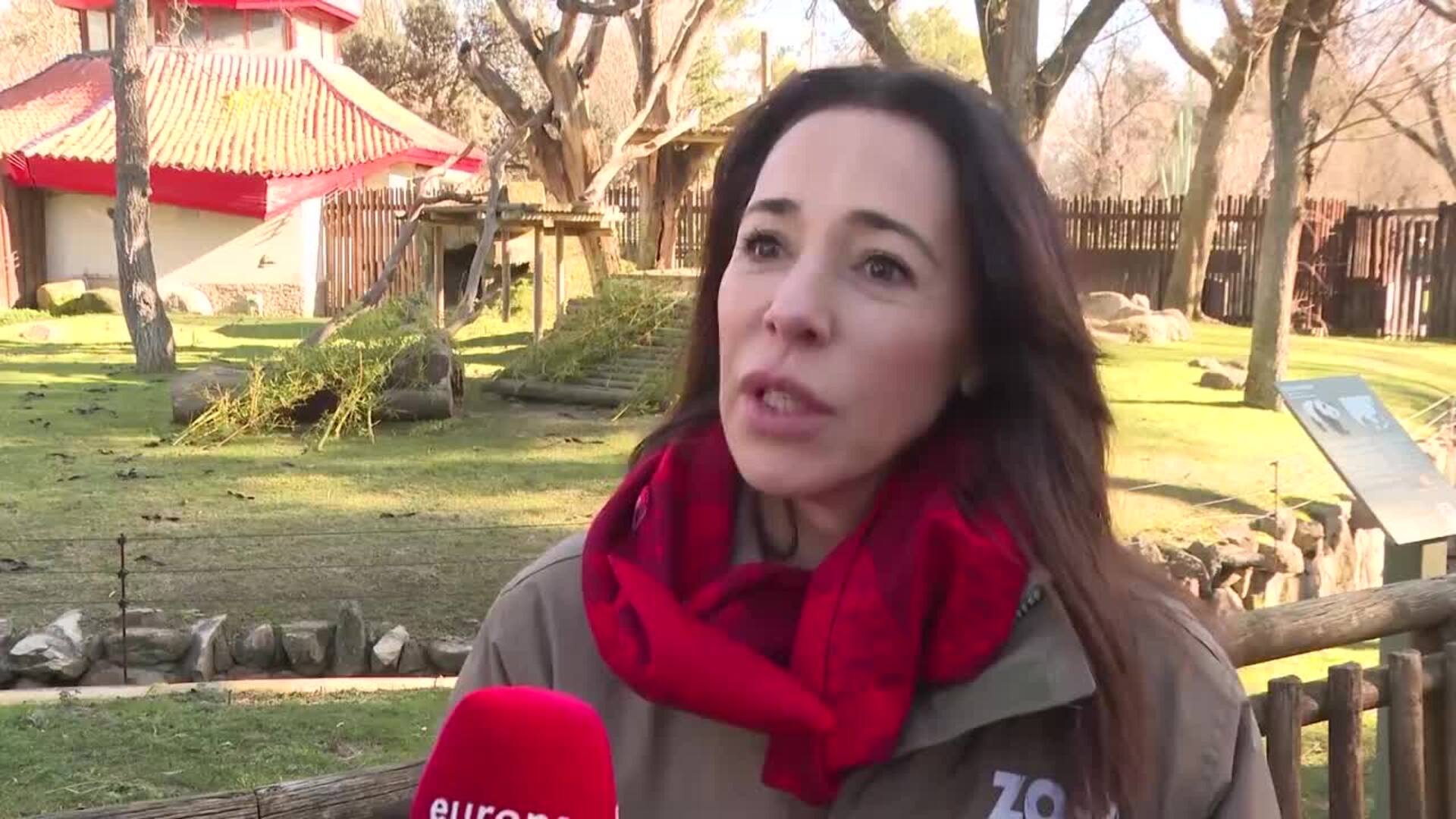 El Zoo Aquarium de Madrid celebra el año nuevo chino