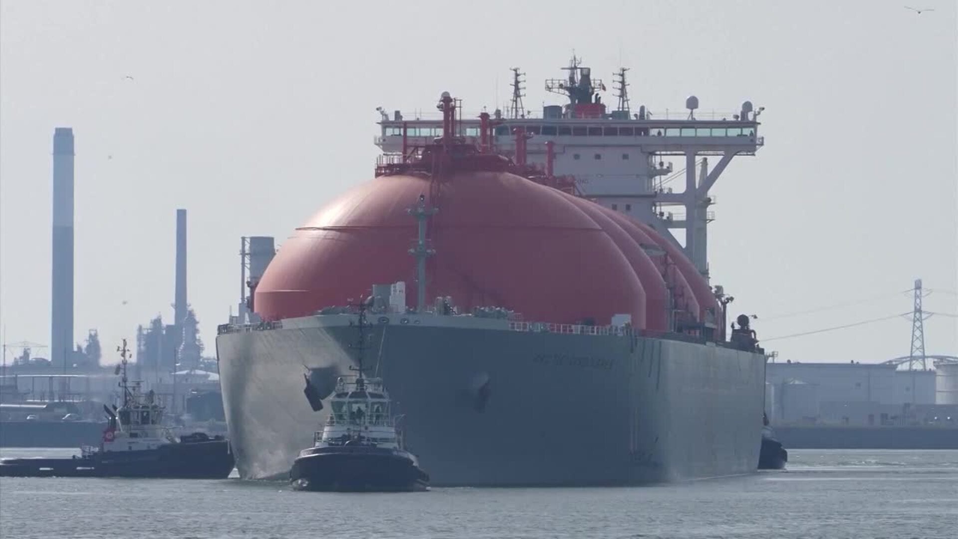 Las exportaciones de España a Estados Unidos bajaron un 8% en 2025, hasta los 16.716 millones