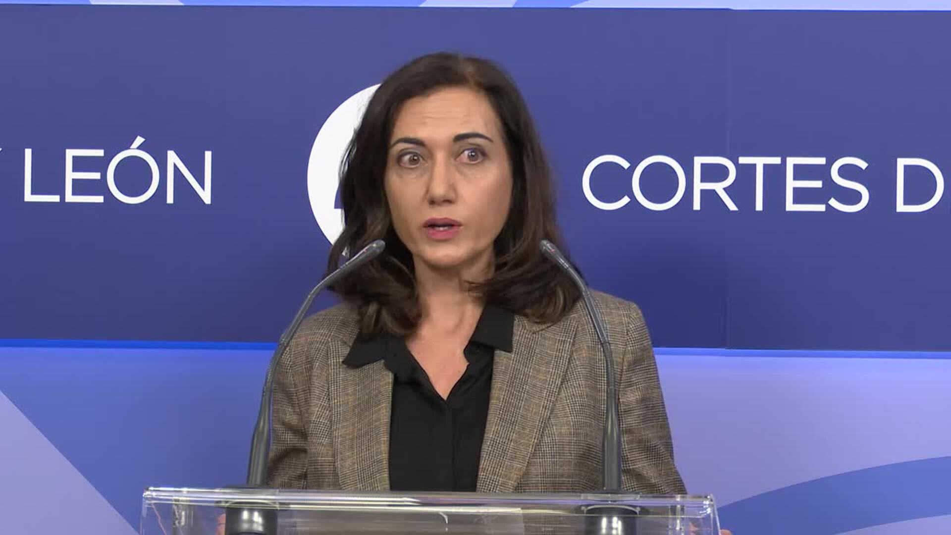 UPL asegura que el PP quiere "rebajar la tensión" y llama a evitar la parálisis legislativa