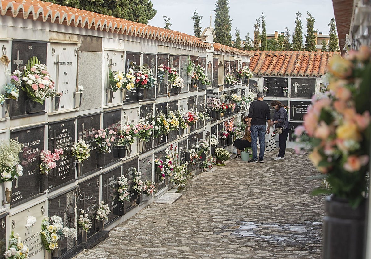El alcalde de Cáceres abre la puerta a flexibilizar el pago de los nichos del cementerio | Hoy