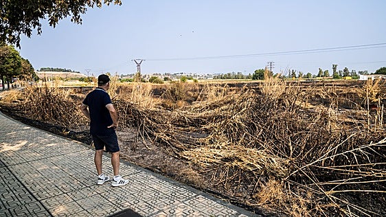 Los vecinos de Ronda Norte en Badajoz denuncian que todos los años sufren incendios junto a sus casas
