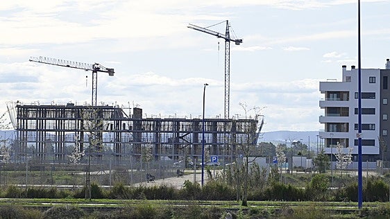 Las familias numerosas podrán acceder al Aval Joven para compra de vivienda