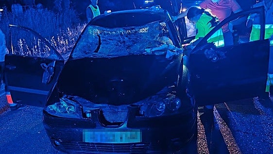 Herido un hombre de 38 años al chocar un turismo contra una vaca en la provincia de Badajoz