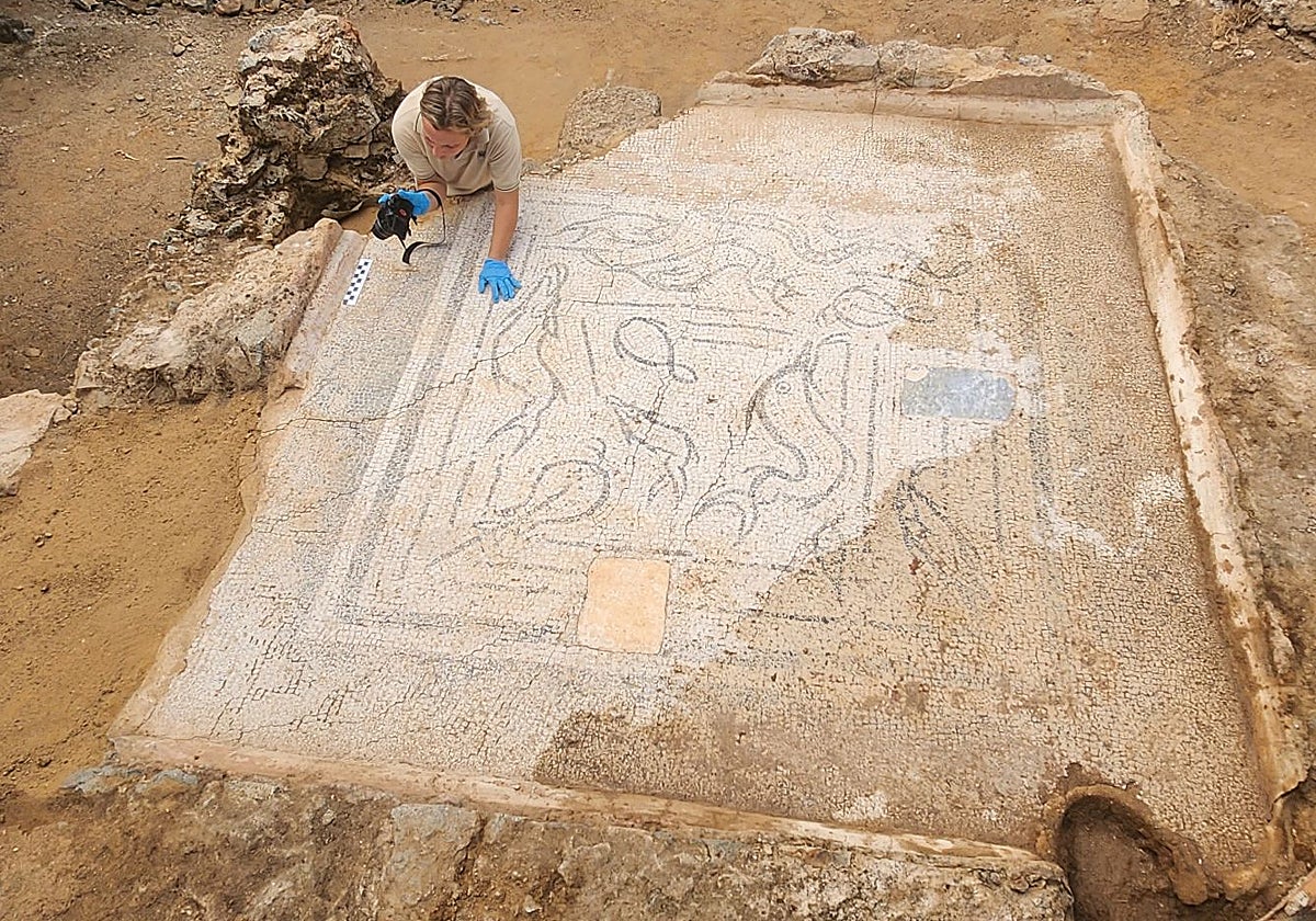 Otra maravilla arqueológica en Mérida: un mosaico de dos colores con temática marina en el parque de la Ciudad de la Infancia