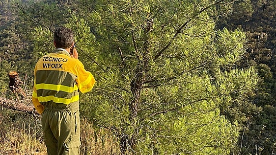 Desescalada de alerta en Las Hurdes: el Infocaex baja de 1 a 0 por el fuego, el séptimo gran incendio del año en Extremadura