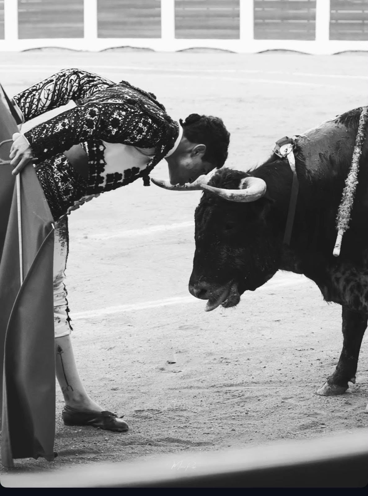 David Gutiérrez cara a cara con un toro.
