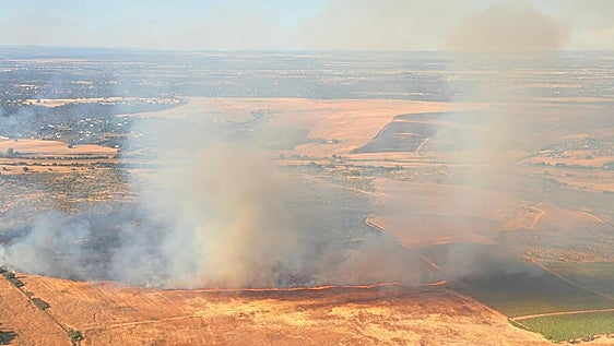 Desactivado el nivel 1 en un incendio forestal en la carretera de Sevilla a su paso por Badajoz