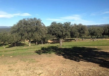 Muere un hombre de 68 años tras caerle encima varias pacas de paja en una finca de Berzocana
