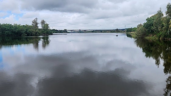 Aparece el cuerpo de un hombre en el Guadiana cerca de Mérida