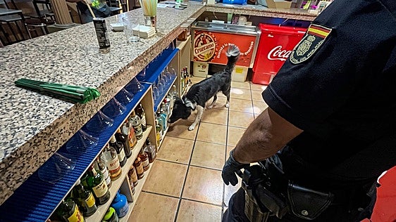 La Policía desmantela en Cáceres una organización criminal dedicada a la explotación sexual de mujeres