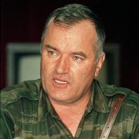 Estados Unidos ofreció cinco millones de dólares por la entrega de Ratko Mladic