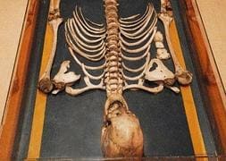 El esqueleto de Agustín Luengo Capilla. / V.M. Pizarro