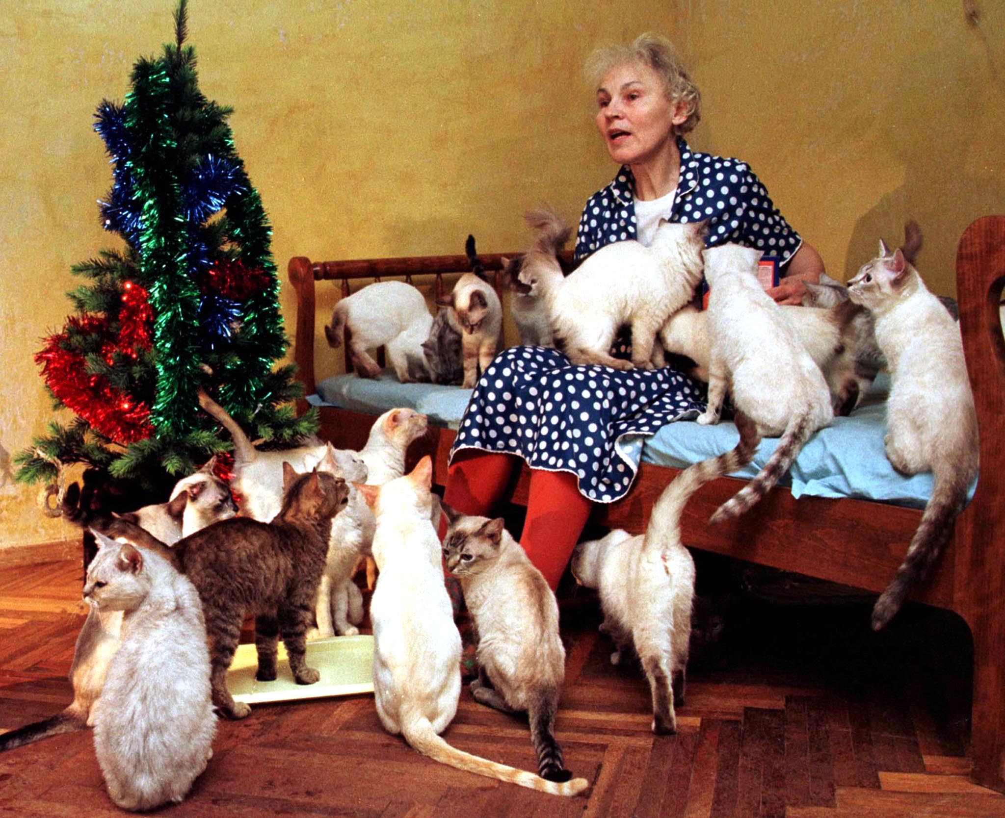 Una mujer ucraniana sentada junto a sus 53 gatos.