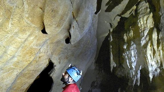 El arqueólogo Diego Gárate analiza los grabados de animales hallados en la cueva de Atxurra.