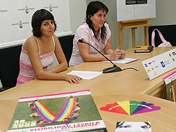 Miembros del Foro Extremeño por la Diversidad Afectivo Sexual de Extremadura  en una rueda de prensa que han ofrecido esta mañana en la Diputación Provincial. / SANTI RODRÍGUEZ