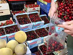 Cerezas en el mercado placentico del 'martes'../ HOY