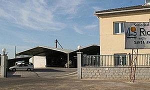 Roban 80.000 litros de aceite de oliva en Santa Amalia