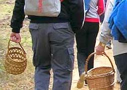 Trasplantan el hígado a una mujer envenenada por setas