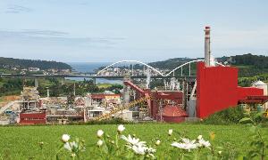 Planta de biomasa de Ence en Navia, Asturias. / HOY