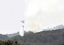 El fuego quema matorral y roble entre Navaconcejo y Piornal