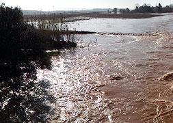 El desbordamiento del río Guadámez inunda 500 hectáreas cerca de Don Benito
