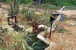 Zona de regadíos próxima a Montijo. ::                             HOY