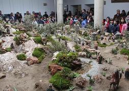El tradicional belén de la Diputación de Cáceres aumenta su tamaño y el número de figuras
