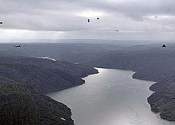 La Feria de Turismo Ornitológico, una "rara avis" entre las grandes ferias