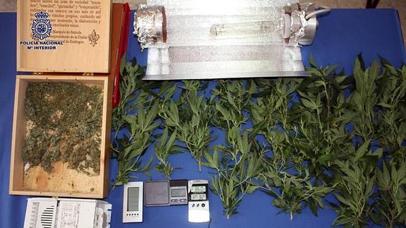 Desmantelado un 'interior de marihuana' en un domicilio de Badajoz