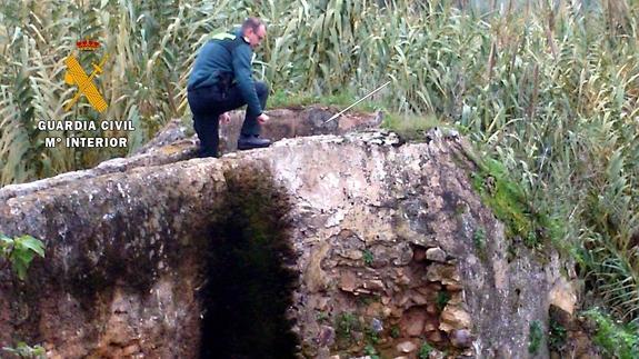 Un agente inspecciona el pozo donde fue hallado el animal