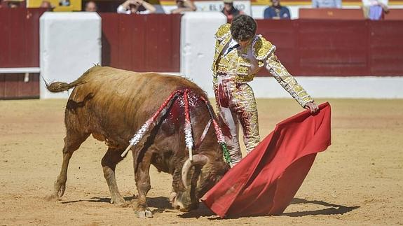 El novillero Ginés Marín en su segundo toro de la Feria de Olivenza 2015