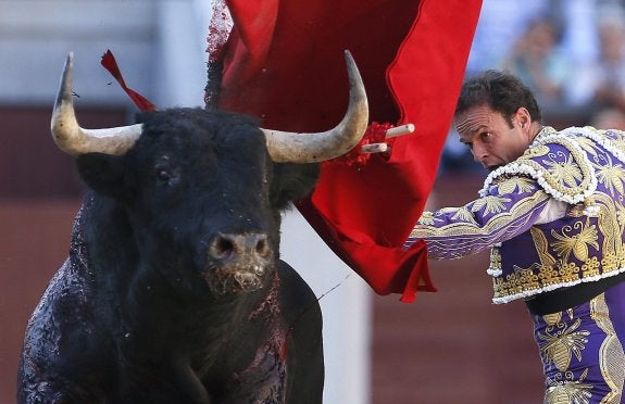 Ferrera con el primero de su lote. :: efe