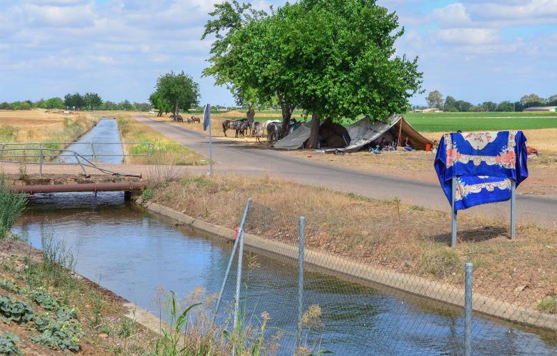 Canal de Talavera donde se ha producido el ahogamiento. 