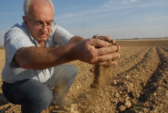 Un agricultor revisa sus tierras, afectadas por la sequía. :: hoy