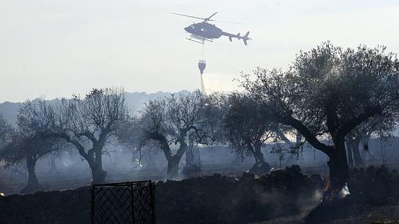 Un helicóptero durante las labores de extinción de un incendio en Torremocha en agosto de 2013. ::HOY-