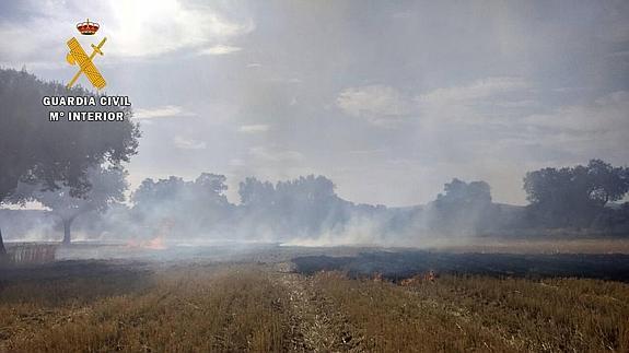 Finca afectada por el fuego provocado:: HOY