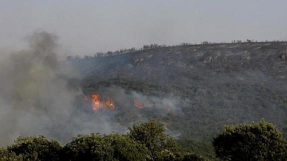 Incendio forestal:: HOY