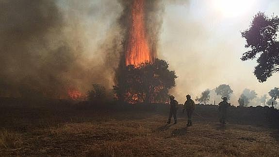 El Infoex da por extinguido el incendio originado en La Cumbre