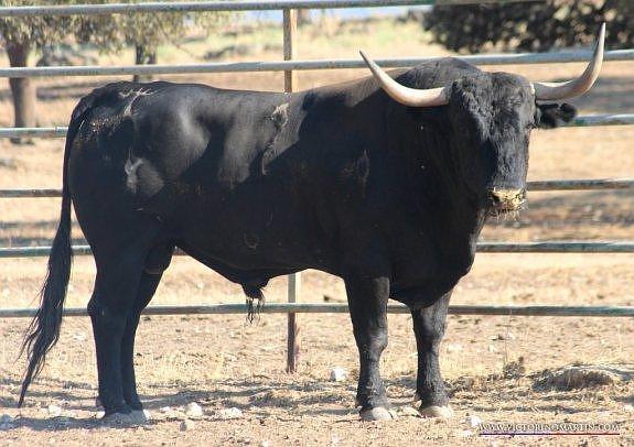 Murriano, número 2. :: victorinomartin.com